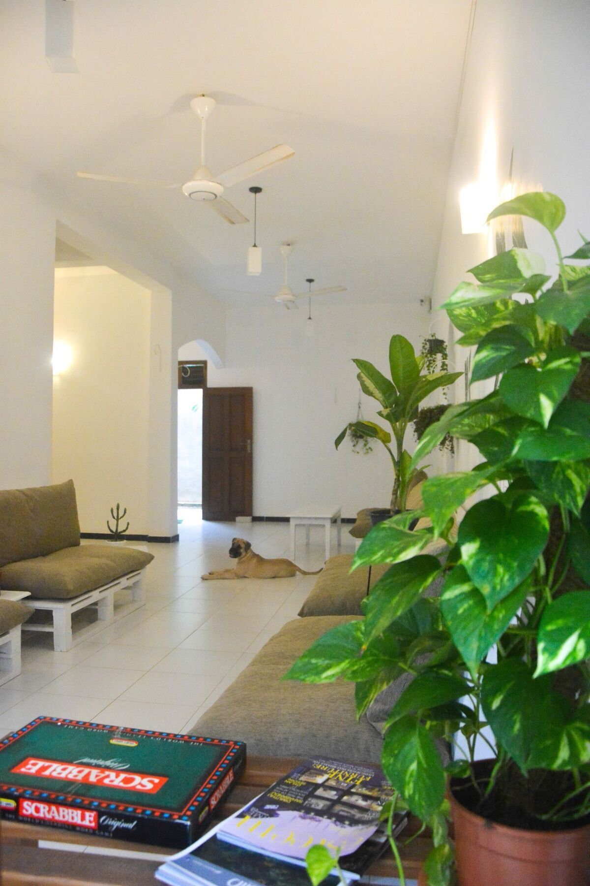 Bed & Bicycle Hostel Dehiwala-Mount Lavinia Eksteriør bilde